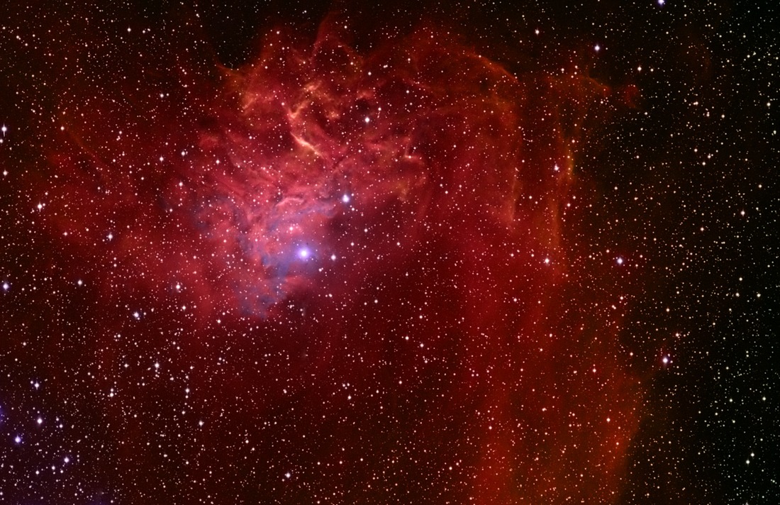 The Flaming Star Nebula