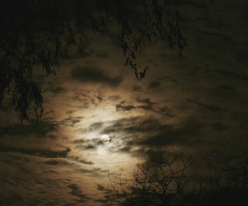 Blue Moon - New Years Eve