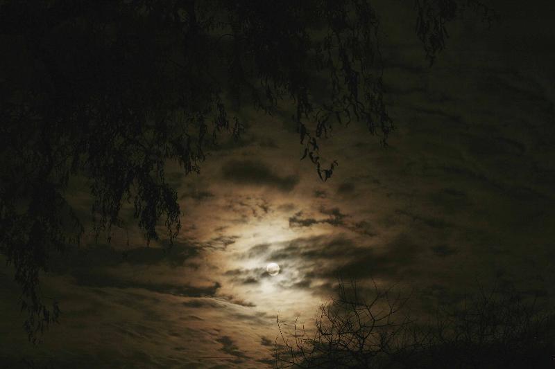Blue Moon - New Years Eve