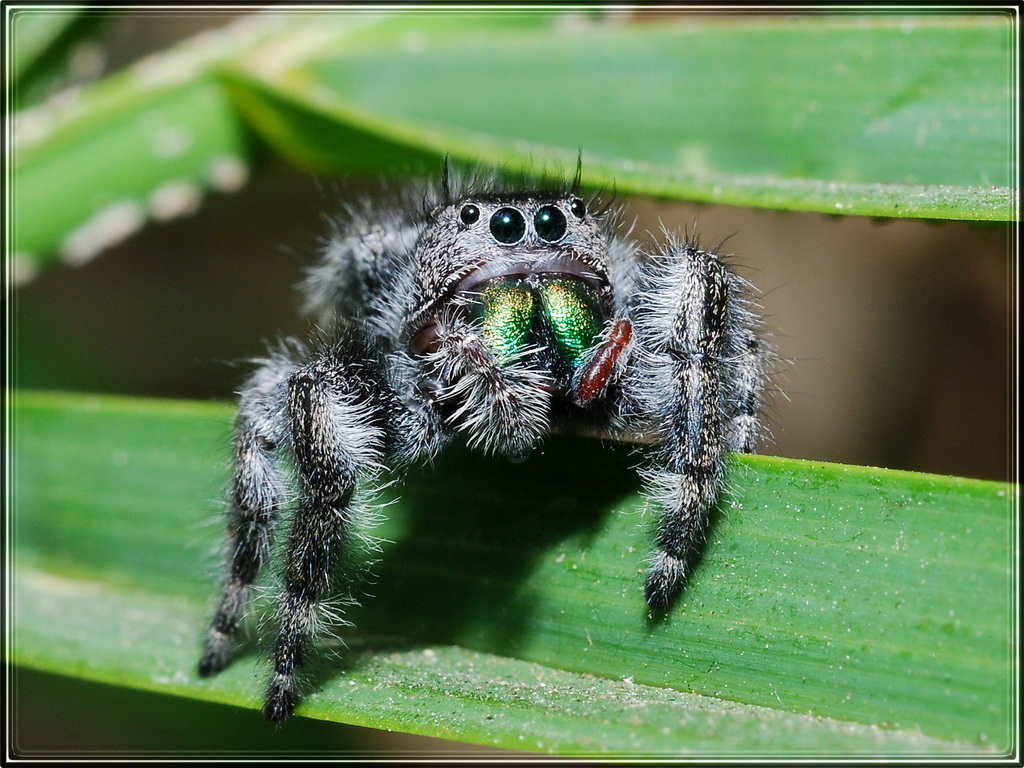 Jumper missing some fuzz