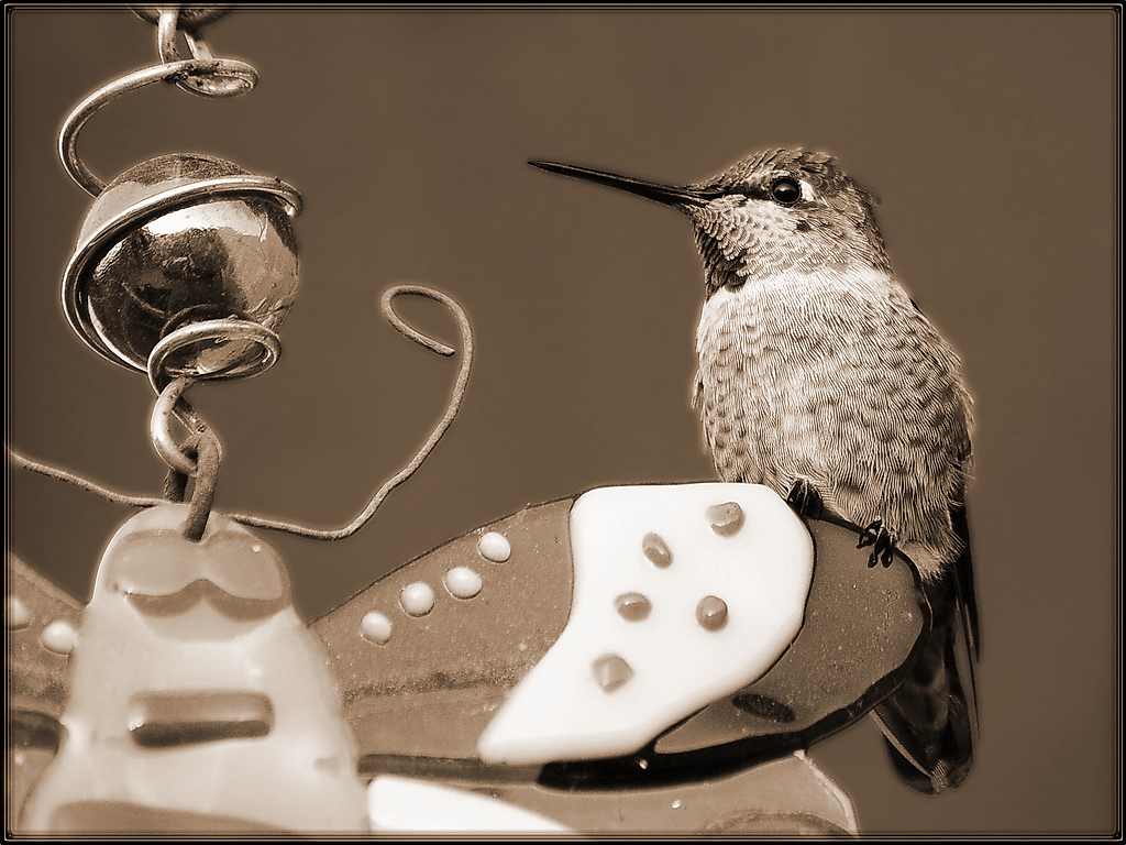 Gaussian Hummer