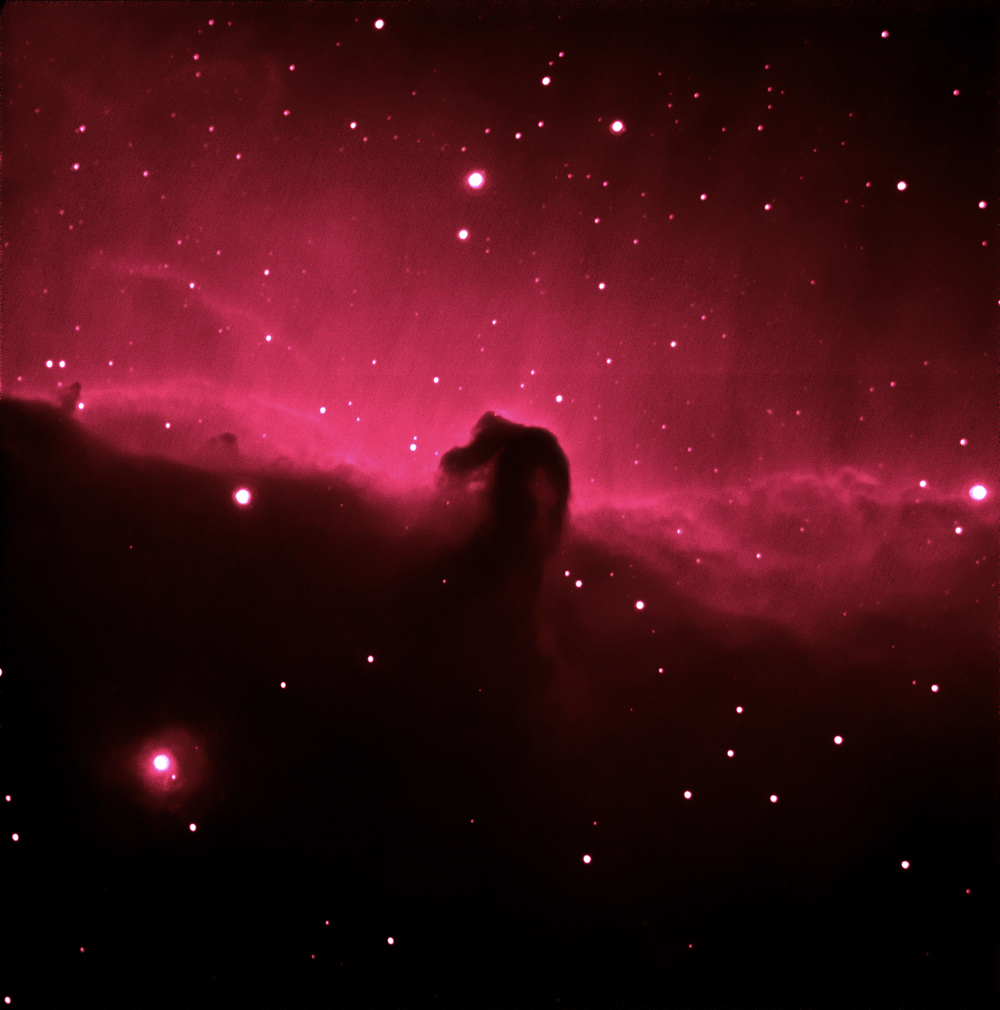 horsehead