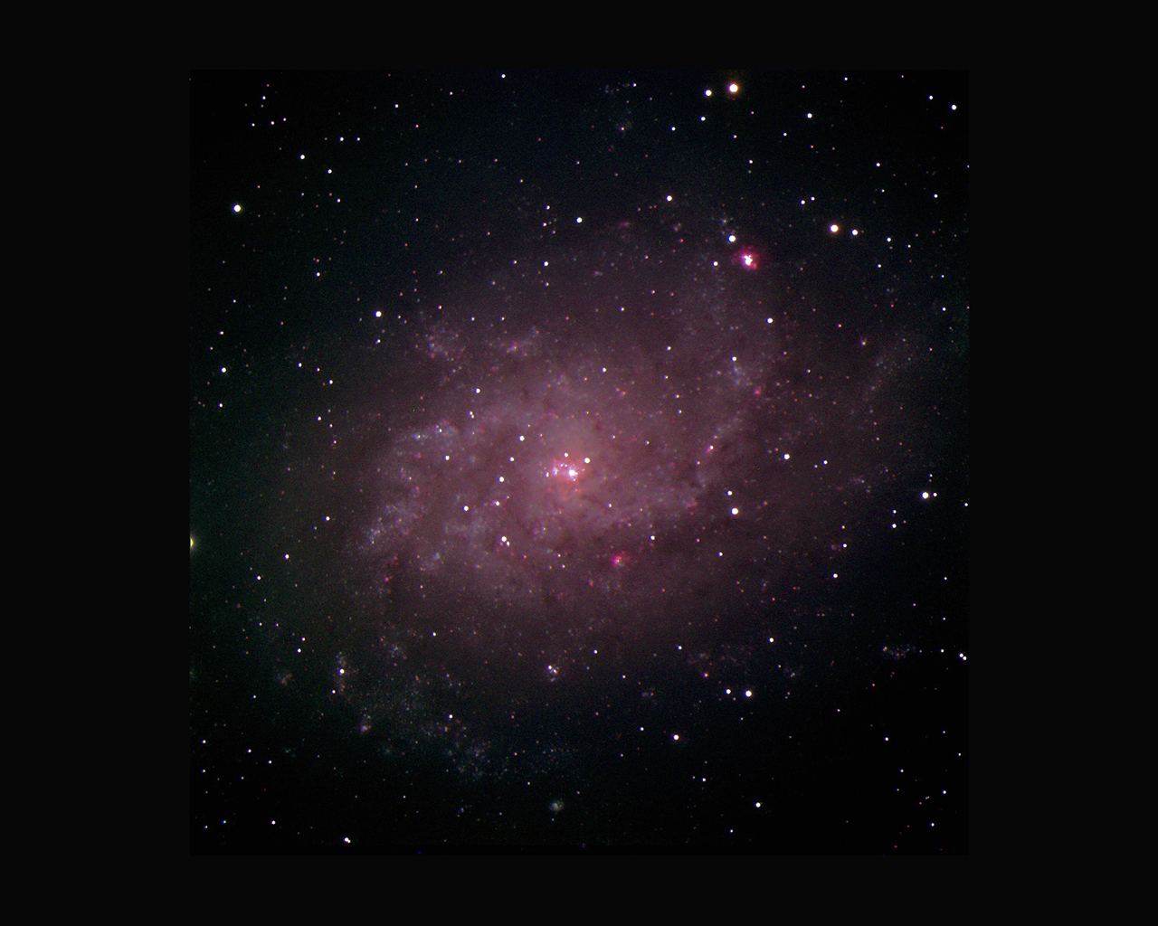 M 33