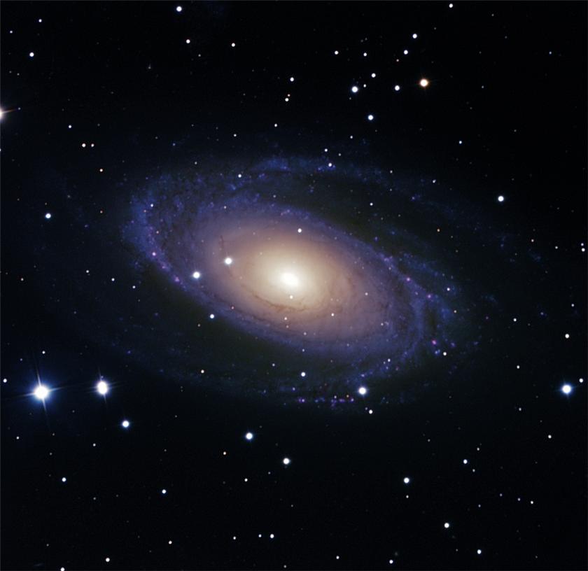 M 81